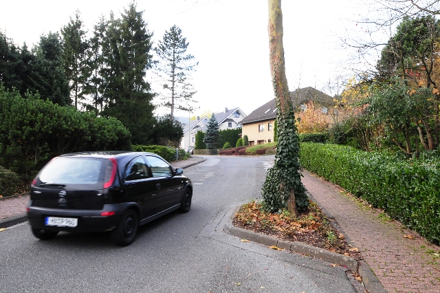 Baum - Jansenring