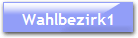 Wahlbezirk1